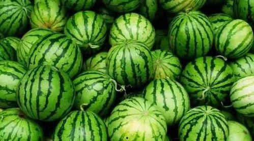 今日大瓜,揭秘娱乐圈最新热点事件